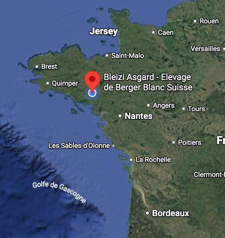 Plan - Bleizi Asgard Bleizi Asgard